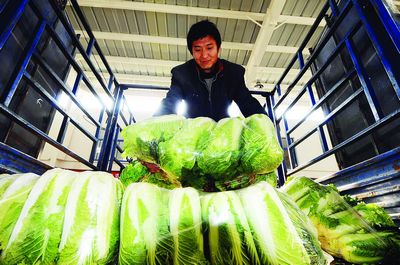 運輸鮮活農產品昨起享綠色通道，公路通行費全免