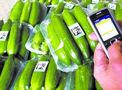 探索“掃碼觀菜、冷鏈出菜”新模式 讓農產品更安全直達餐桌